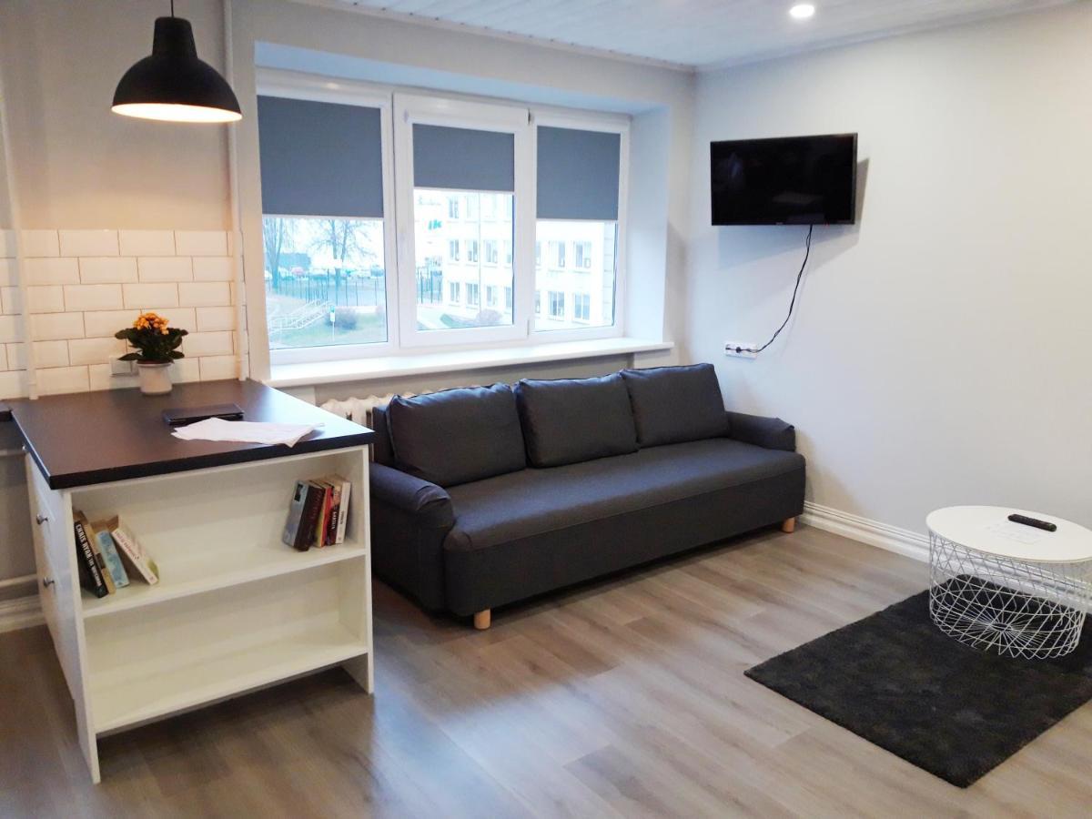 Alytus Ziburio Studio 外观 照片